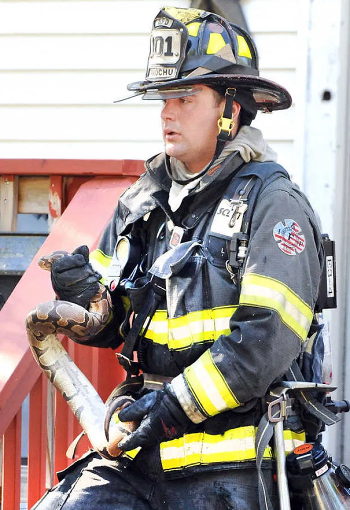 Auburn Firefighters Rescued Pet Snake From The Apartment Fire