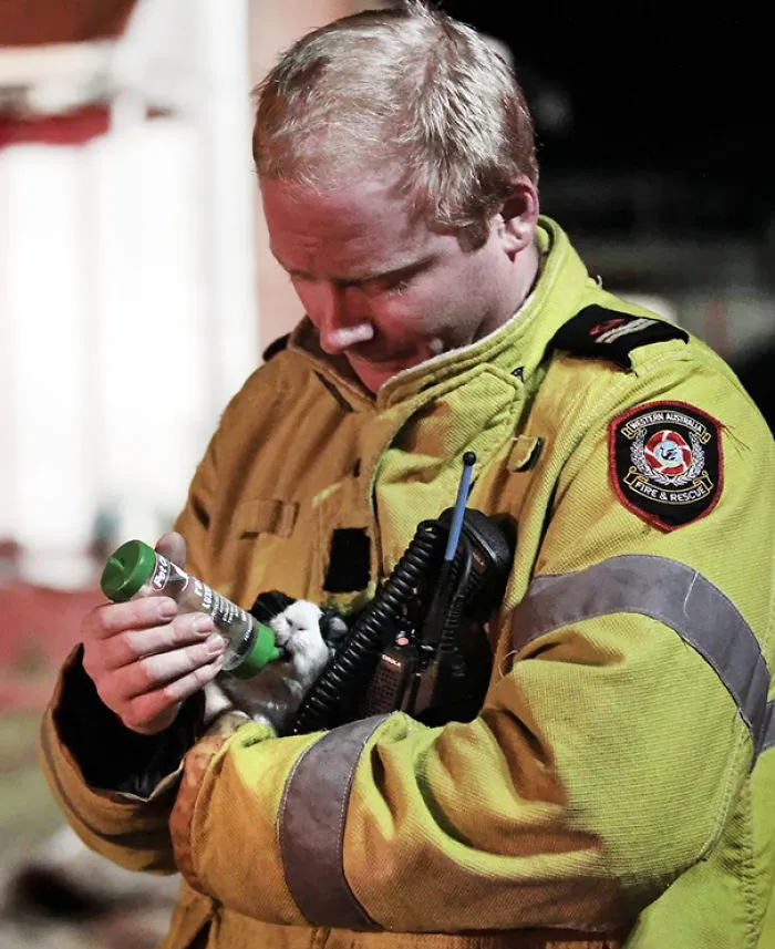 Firefighters Rescued Smokey After Burning Debris Fell Around Its Enclosure