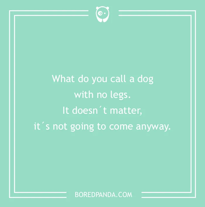 Naming Your Dog