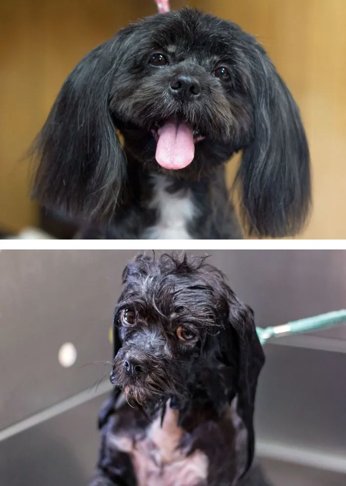 Before Vs. After Bath