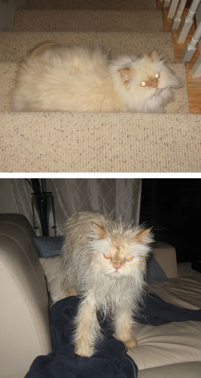 Before Vs. After Bath