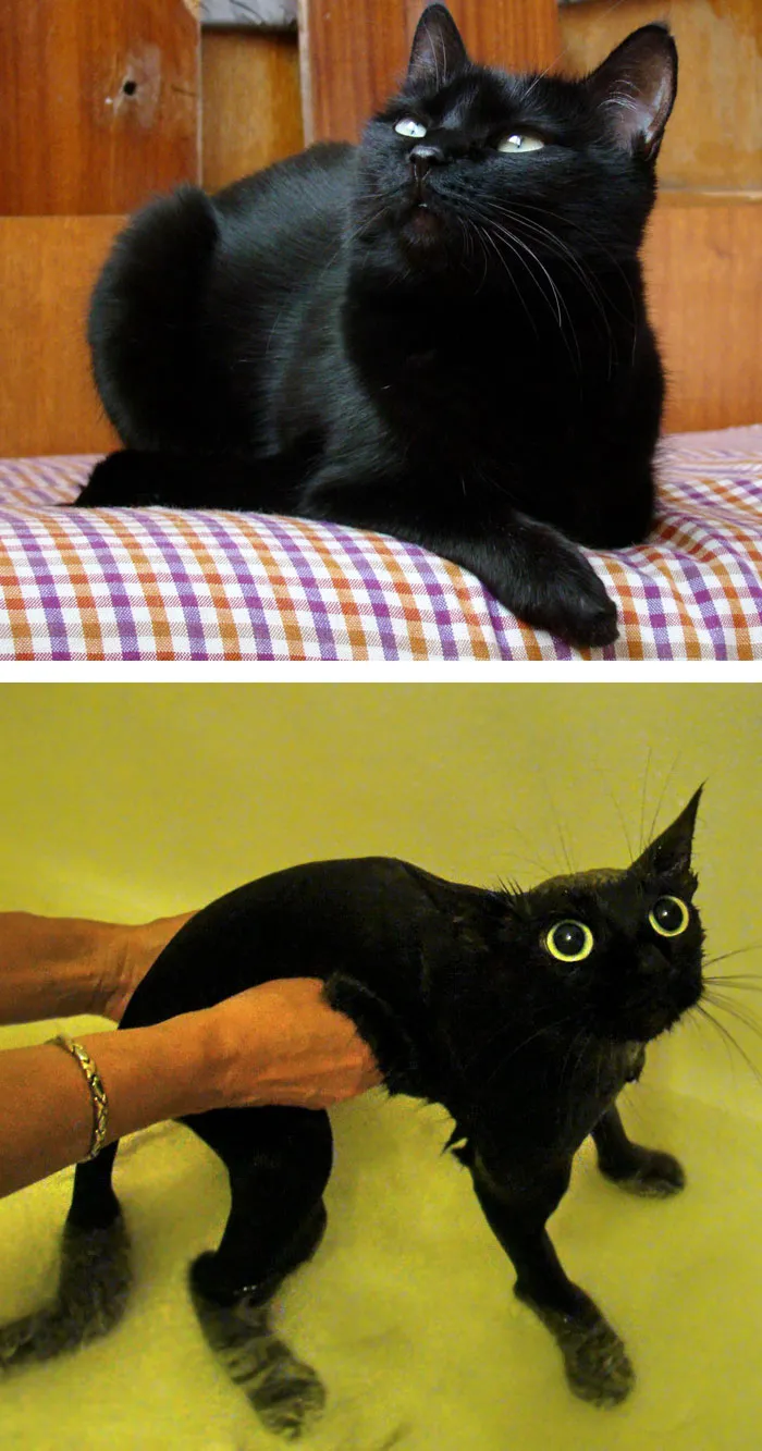Before Vs. After Bath