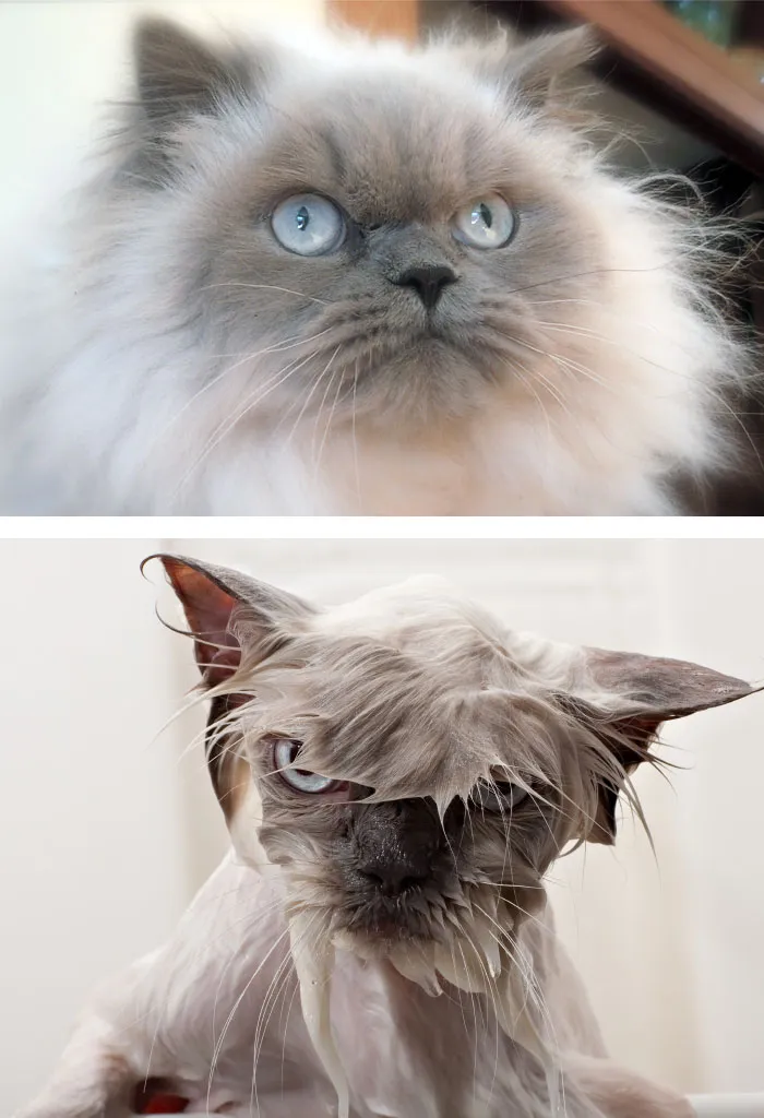 Before Vs. After Bath