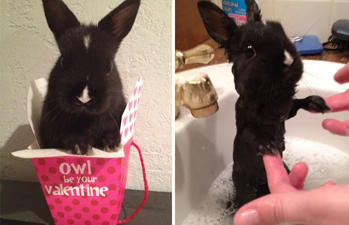 Before Vs. After Bath