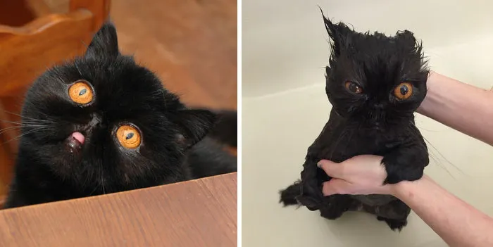 Before Vs. After Bath
