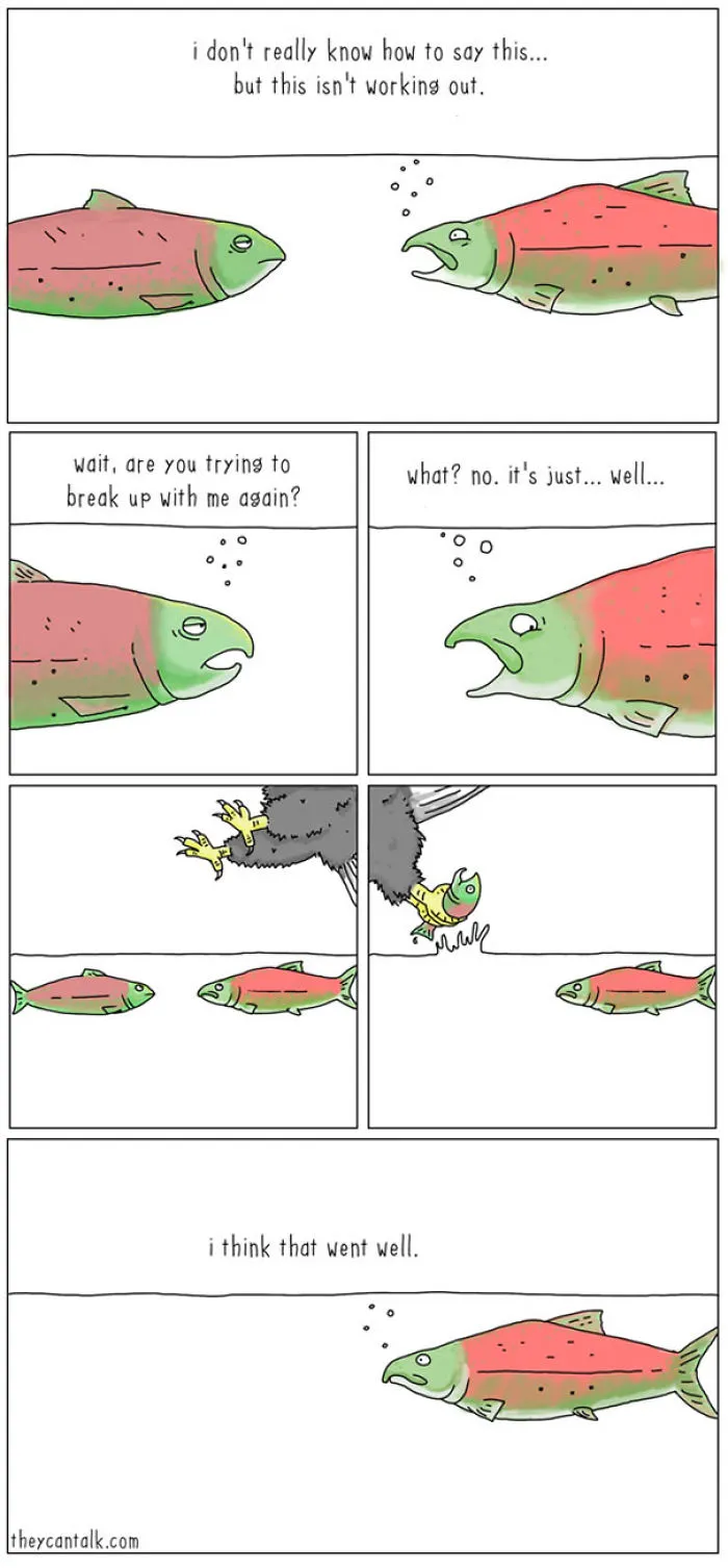 If Animals Could Talk (30 Pics)