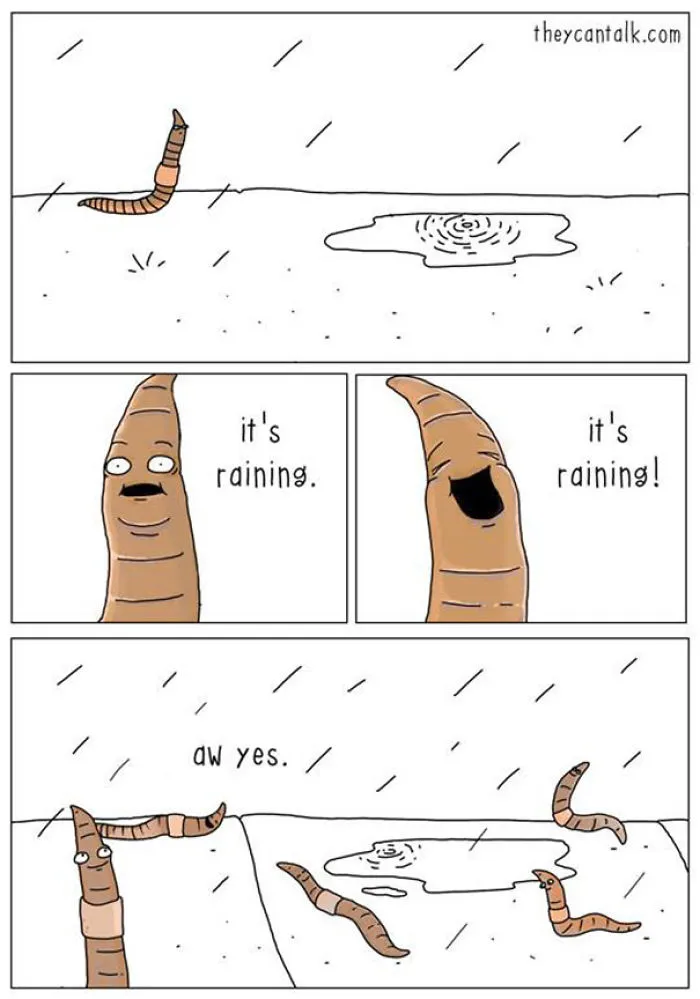 If Animals Could Talk (30 Pics)
