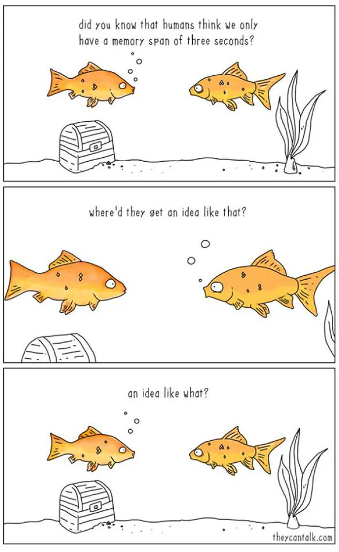 If Animals Could Talk (30 Pics)