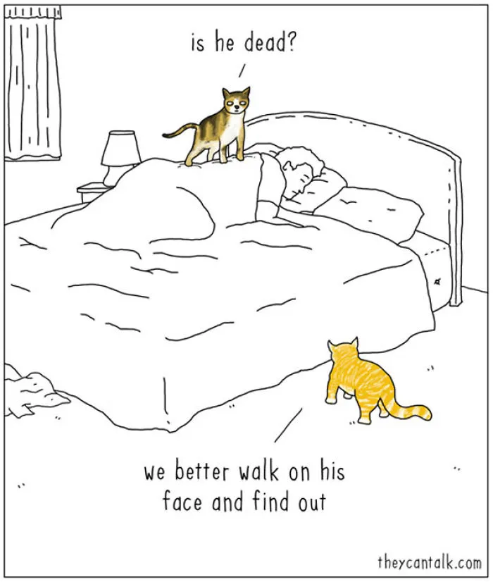 If Animals Could Talk (30 Pics)