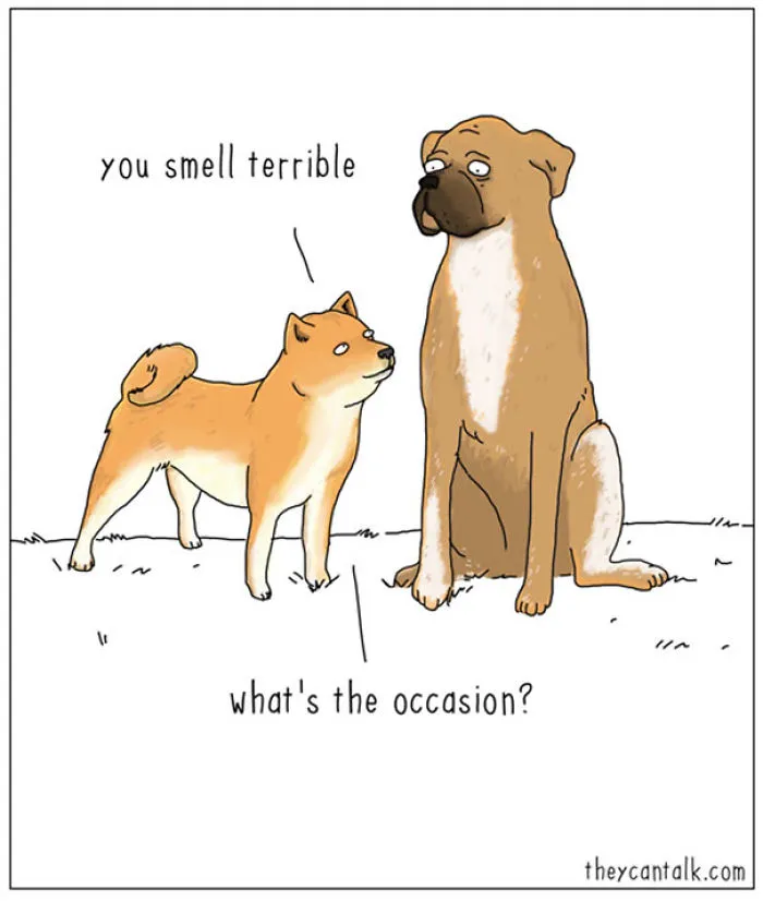 If Animals Could Talk (30 Pics)