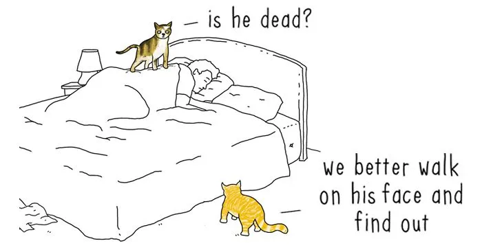 If Animals Could Talk (30 Pics)