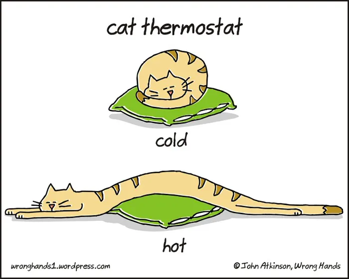 65 Funny Cartoons By Illustrator John Atkinson