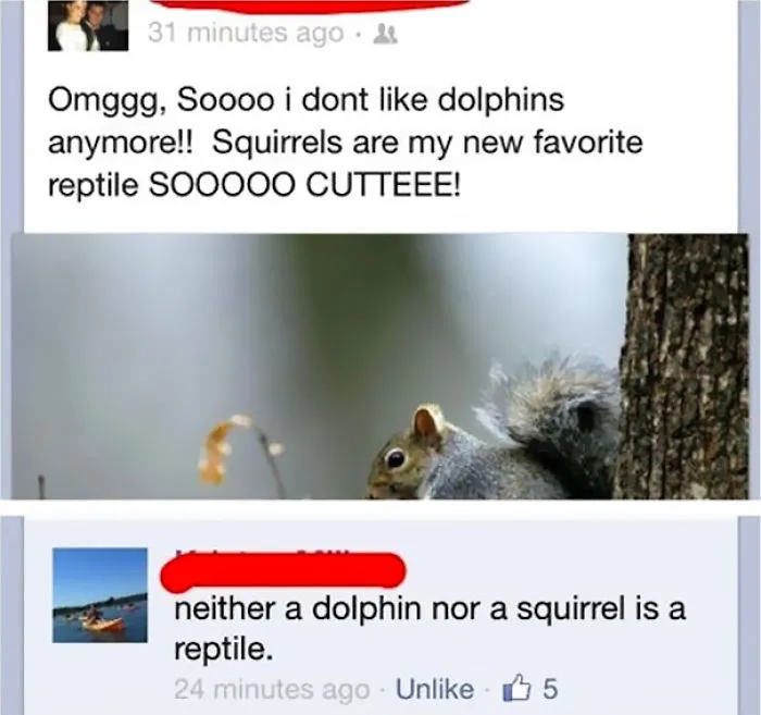 This Animal Lover