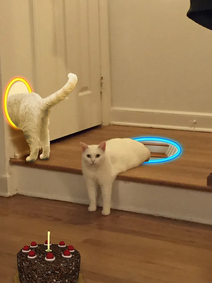 Portalcat