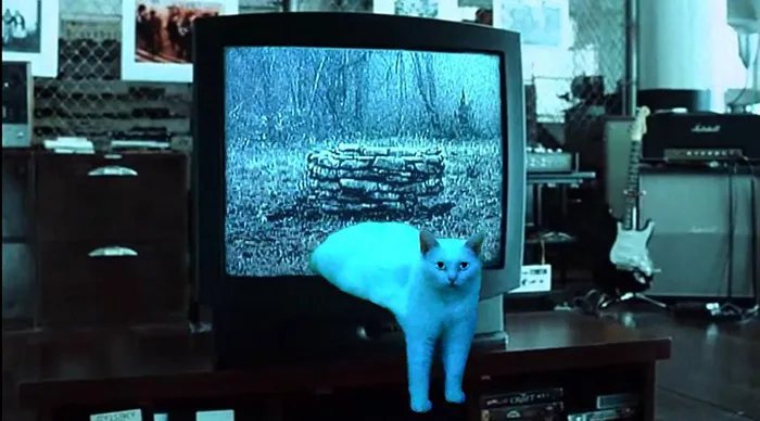 Samaracat