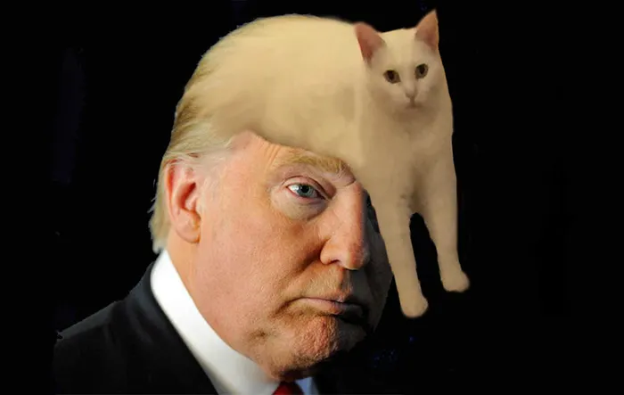Trump Hair
