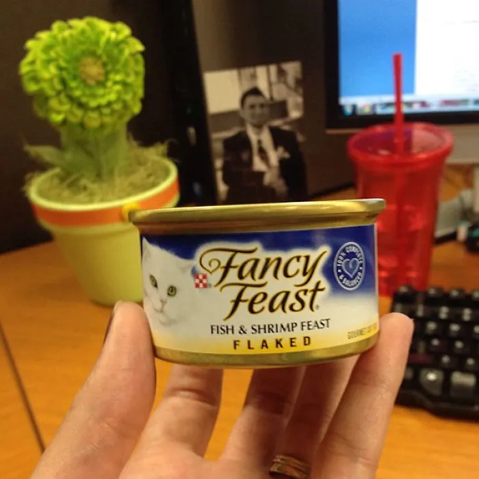 I Asked My Husband If He Could Pack My Lunch This Morning. I Told Him To Surprise Me. This Will Be Lovely With My 2:00 Coffee