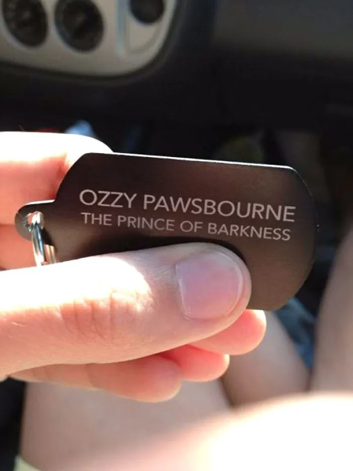 My Friends Wife Let Him Name Their New Puppy