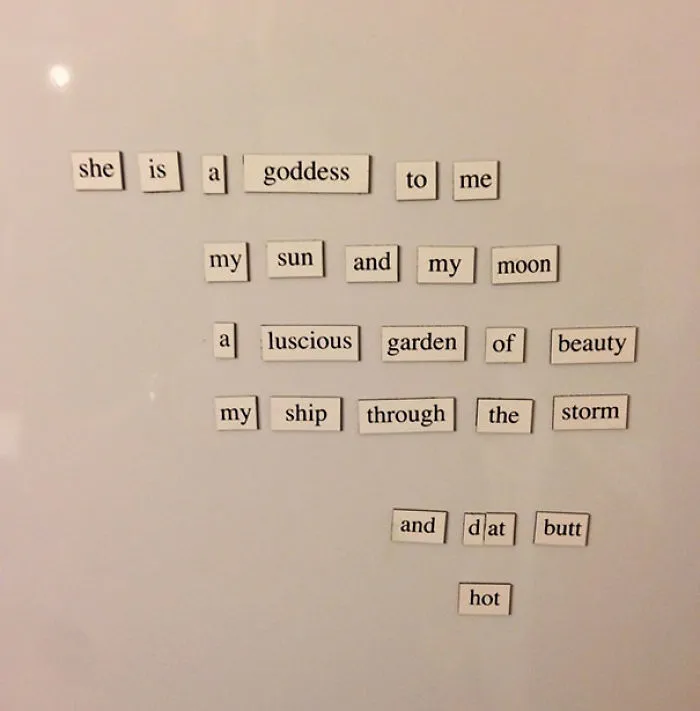 My Wife Didn't Appreciate My Fridge Magnet Poem