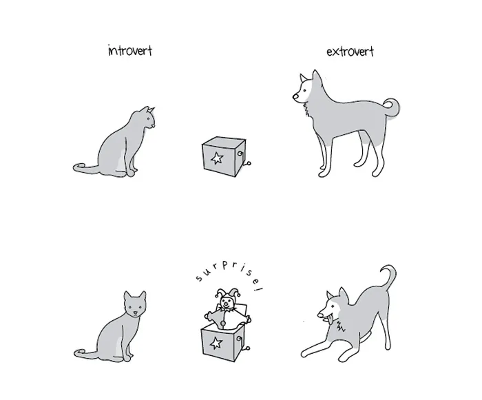 88 Comics That introverts Will Understand