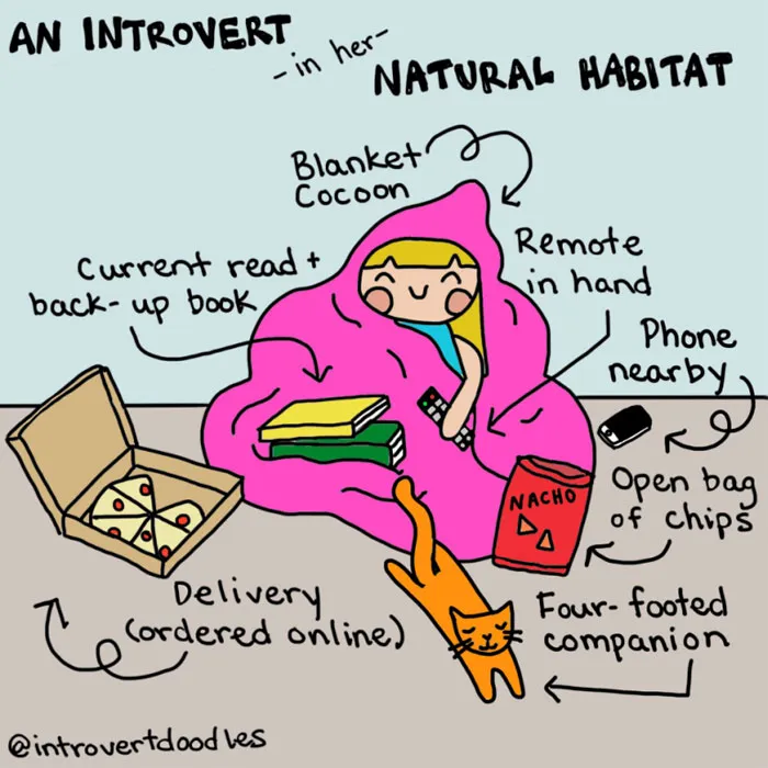 88 Comics That introverts Will Understand