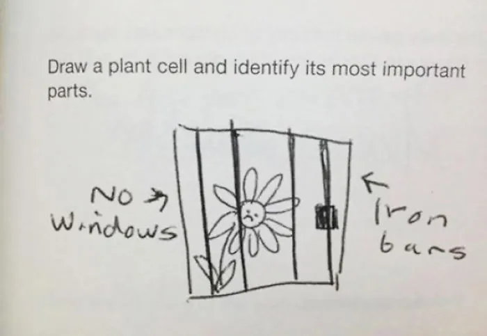 Phyto-cell