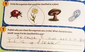 83 Smartass Kids Who Will Go Far In Life