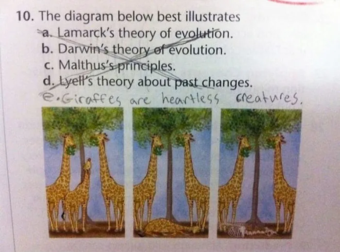 Giraffes Are Heartless Creatures