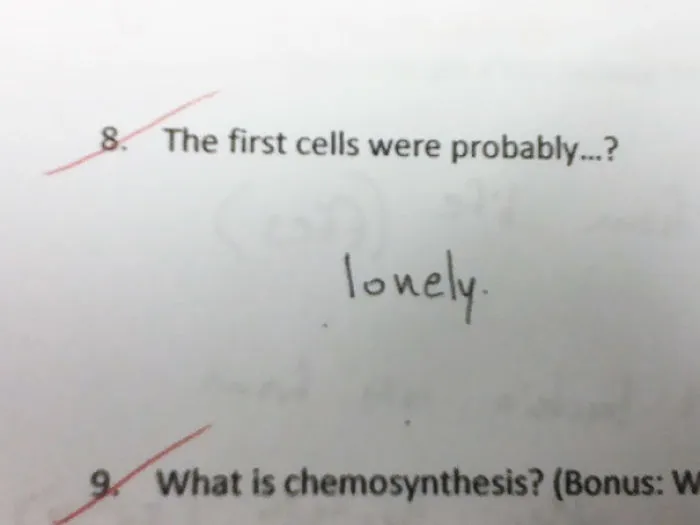 Lonely Cell