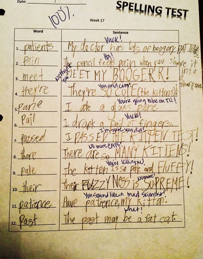 My Kid's Teacher Is Apparently Okay With His Wild Answers On Spelling Tests