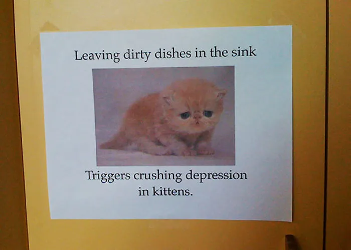 Not The Kittens, Please