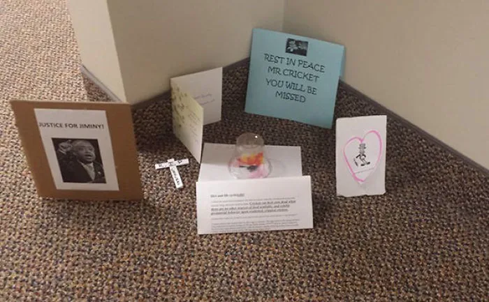 Housekeeping At My Friend's Office Missed A Dead Cricket. It Has Since Snowballed Into A Full On Memorial
