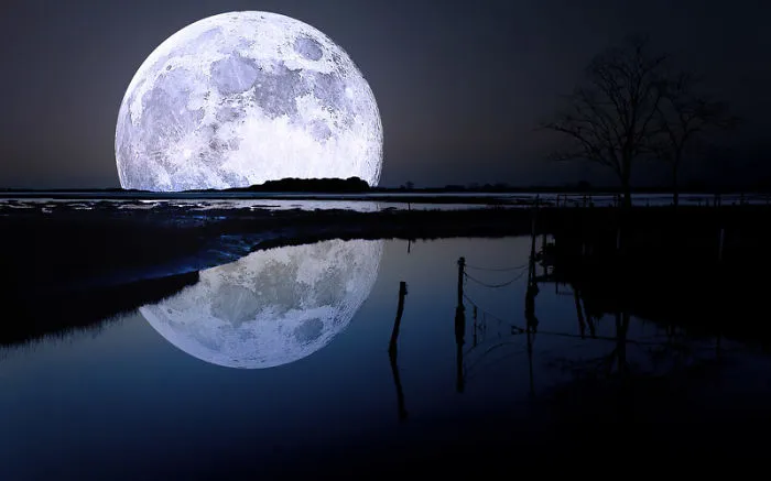 Moon Rituals With Reiki