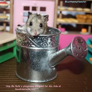 Hammy Hamster
