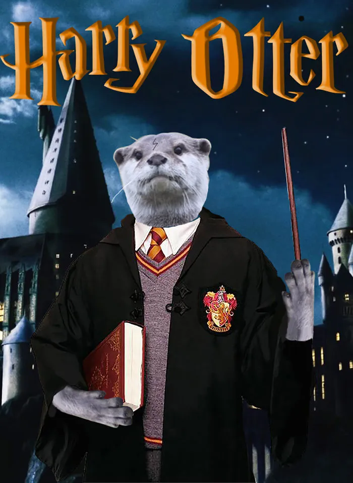 Harry Otter