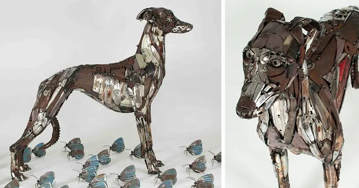 I Recycled Old Bicycles Into A Whippet