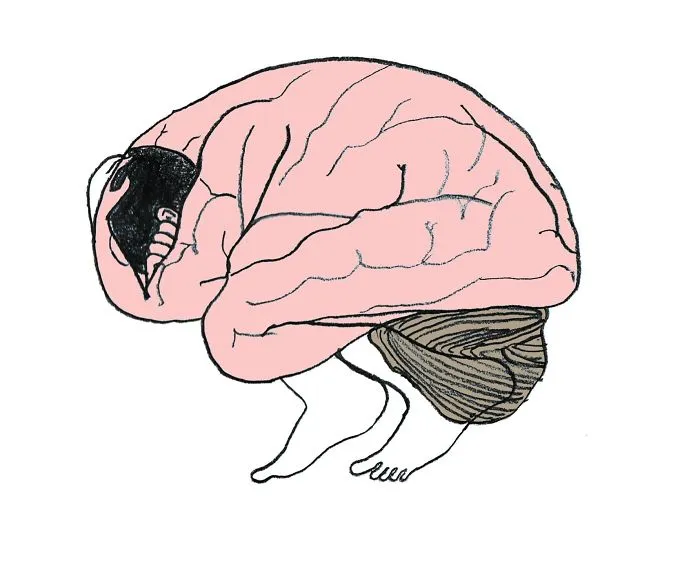 The Thinking Human