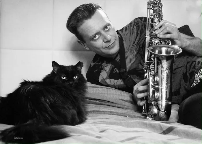 I Try To Capture The Relationship Between Cats And People