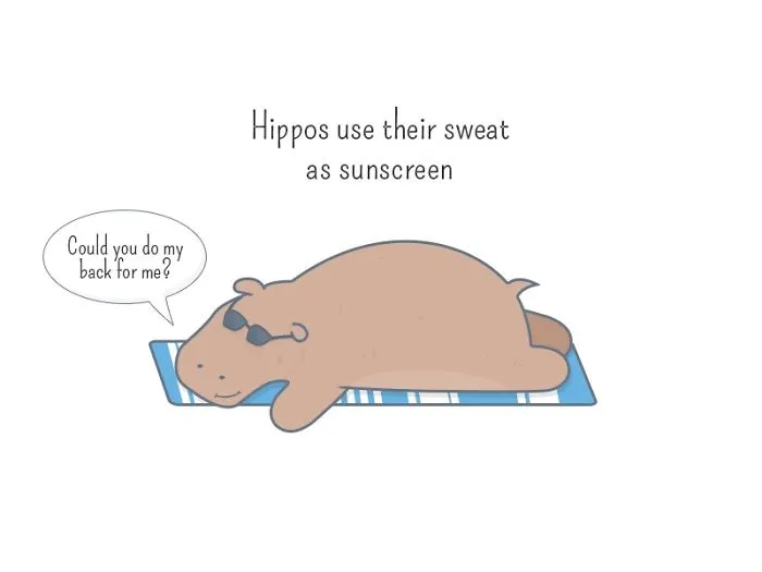 Today's Animal Fact