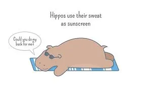 Today's Animal Fact