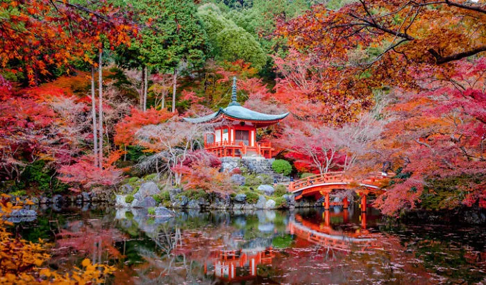 I Hope You Like These Pictures From Japan!