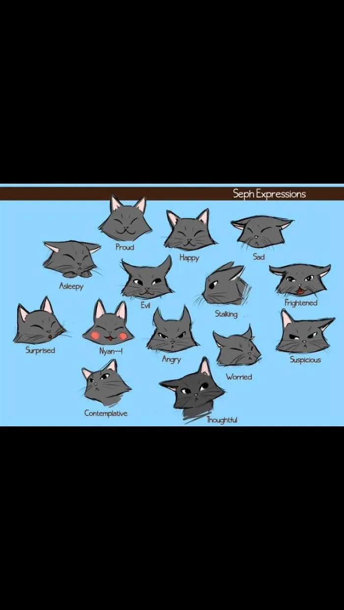 Animal Emotions