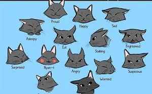 Animal Emotions