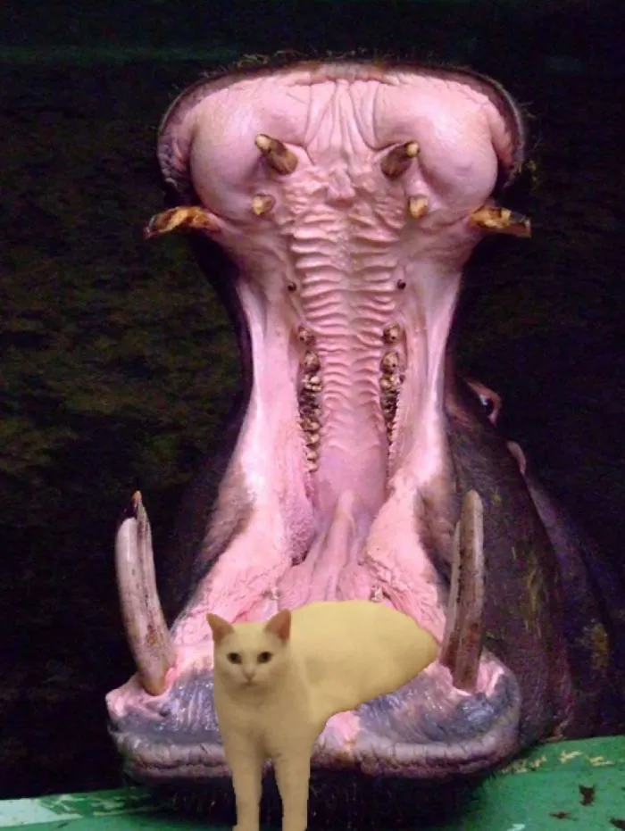 Hippo Food