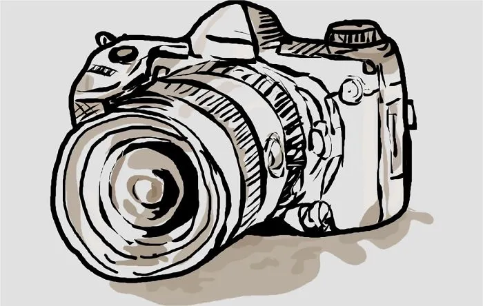 I Am 10 Years Old, And These Are Pictures That I Took