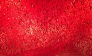 Chiharu Shiota...enveloping Red Thread Installations