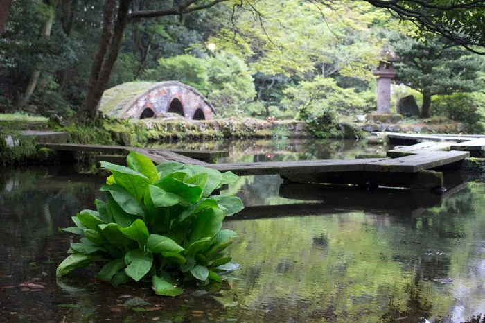 We Travelled Trough Japan And Found These Beautiful Gardens