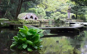 We Travelled Trough Japan And Found These Beautiful Gardens