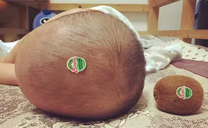 Two Kiwis