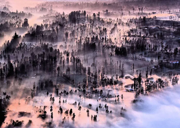 Misty At Cemoro Lawang, Indonesia